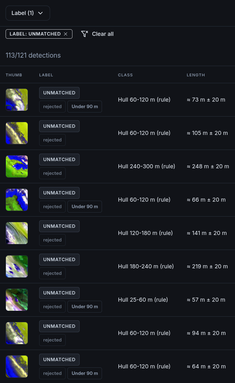 The detections table filtered by a LABEL: UNMATCHED badge, the Label filter showing (1), and the count 113/121 detections. Each row has a small image chip, most of them a bright strip of shoreline or land beside blue water, an UNMATCHED label with a grey rejected chip and, on some rows, an Under 90 m chip, a size class such as Hull 60-120 m (rule), and a length such as about 73 m plus or minus 20 m.